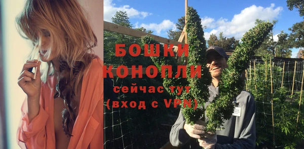 дживик Володарск