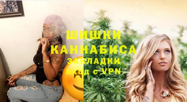 дживик Володарск