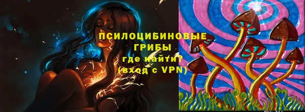 дживик Володарск