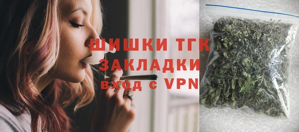 дживик Володарск