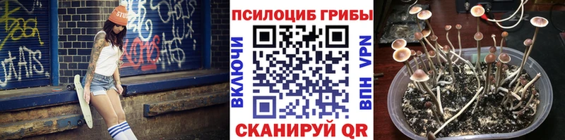 Галлюциногенные грибы мицелий  Купить где  Снежногорск 